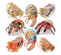 Wdbild Figurine Fish Realistic Sea Animal Toy Cake Toppers Kids Education Toy Aquarium Boutique Collections