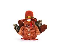Wdbild Handmade Plush Realistic Turkey Dolls Autumn Turkey Ornament Glowing Turkey For Doll For Thanksgiving