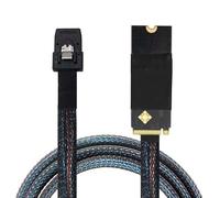 Wdbild (M-Key NVMe 2260) To MiniSAS SFF-8087 Cable Supports Fast Speed Data Transfer With 500mOhm Insulation Minisas