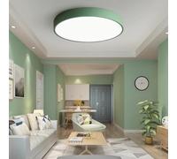 WDBZTJ LED Flush Mount Ceiling Light with Remote Control, Dimmable Round Ceiling Lamp with Acrylic Lampshade, Modern Ceiling Light for Living Room, Hallway, Bathroom, Bedroom,Green,23cm