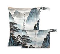WDdZzyy Ancient Chinese Landscape Painting prop1 Bag for Cloth 2 Pack Diaper Bag Essential Items with Handles for Yoga