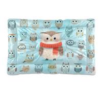 WDdZzyy Cute Cartoon Owl Blue Washable Cat Kennel Crate Pad Soft Anti-Slip for Large Jumbo Medium Small Dogs 36" x 24"