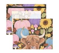 WDdZzyy Fall Autumn Highland Cattle Pumpkin Sunflower Binder Clear Window Pen Holder Case for A4 Paper Letter 2 Pack Teacher Storing School Students Teacher Supplies