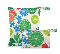 WDdZzyy Summer Style Lemon Watermelon Fashion Waterproof Bag for Daycare 2 Pack Travel Essentials for Babies with Handles for Pool
