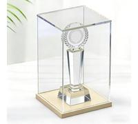 WDJBPSH Clear Acrylic Display Box for Collectibles, Vertical Plastic Model Showcase with Wood Base, Protecting/Displaying Valuable Trophies and Memorabilia(L23.6xW15.7xH13.8in/60x40x35cm)