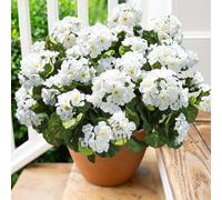wdsilkbo Artificial Hydrangea Flowers White, 6 Stems Faux Hydrangea Plants, Silk Runaway Bride Garland, UV Resistant Climbing Plants for Home Garden Wedding Outdoor Decoration