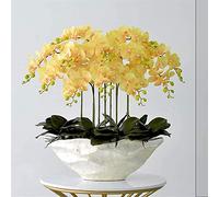 WDSOPK Artificial flowers Orchid Artificial Phalaenopsis Flowers Rubber Silk Cloth Faux Orchids Porcelain Vase Orchids Artificial Plants natural look,A(D)
