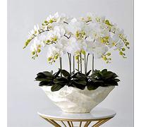WDSOPK Artificial flowers Orchid Artificial Phalaenopsis Flowers Rubber Silk Cloth Faux Orchids Porcelain Vase Orchids Artificial Plants natural look,A(A)