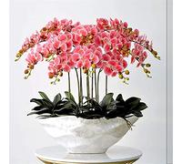 WDSOPK Artificial flowers Orchid Artificial Phalaenopsis Flowers Rubber Silk Cloth Faux Orchids Porcelain Vase Orchids Artificial Plants natural look,A(C)