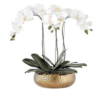 WDSOPK Artificial flowers Realistic Artificial Phalaenopsis Orchid Silk Flowers - 48cm/50cm Faux Orchids in Elegant Porcelain Vase Set - Perfect for Home Decor, Weddings, and Gifts(Small)