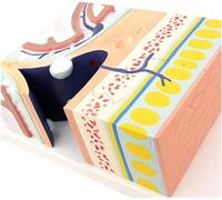WDSOPK Skull Base Level Anatomical Magnified Model, The Five-Layer Structure Of The Dural Sinus Scalp Ecological Anatomy Cranial Crest Level Magnification Model For Teaching
