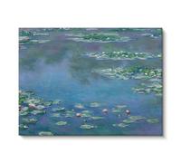 WDUDSUDUW Hand-Painted Oil Painting of The Starry Night on The Rhone River, Suitable for Living Room And Restaurant Decoration Painting,water lilies,40x30cm