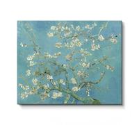 WDUDSUDUW Hand-Painted Oil Painting of The Starry Night on The Rhone River, Suitable for Living Room And Restaurant Decoration Painting,apricot blossoms,40x30cm