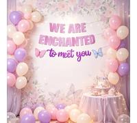 We Are Enchanted to Meet You Banner Balloons Butterfly Garland