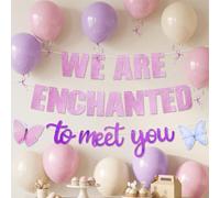We Are Enchanted to Meet You Banner Balloons Butterfly Garland | Enchanted to Meet You Themed Gender Reveal Party Decorations Supplies