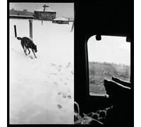 We Are Lonely Animals [VINYL]