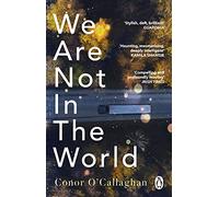 We Are Not in the World : ‘compelling and profoundly moving’ Irish Times
