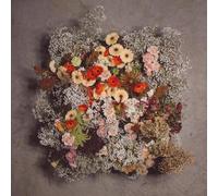 We Are the Willows - IV [Vinyl LP] [VINYL]