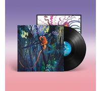 Bonnie "Prince" Billy – We Are Together Again – Vinyl