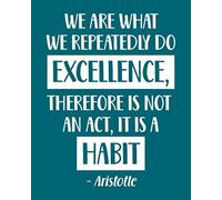 We Are What We Repeatedly Do. Excellence, Therefore Is Not an Act, It Is a Habit - Aristotle: Violin Gift for People Who Love to Play the Violin - ... Players - Blank Lined Journal or Notebook