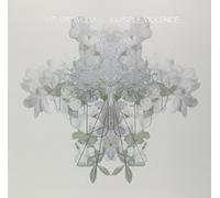 We Are Wolves - Invisible Violence [Vinyl LP] [VINYL]