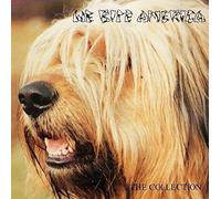 We Bite America by Various Artists