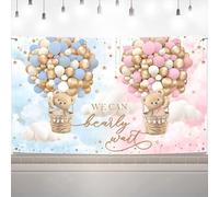 We Can Bearly Wait Gender Reveal Banner Party Decorations Hot Air Balloon Bear Baby Shower Backdrop Blue or Pink Watercolor Photography Background