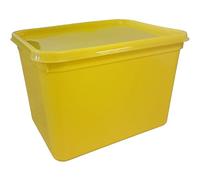 We Can Source It Ltd Colour Coded 10 Ice Cream Containers & Lids-Food Storage For Kitchen-4L Size-Yellow