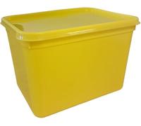 We Can Source It Ltd Colour Coded Ice Cream Containers & Lids-Food Storage For Kitchen (100, Yellow, 4 Litres)