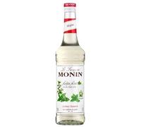 We Can Source It Ltd Mojito Mint Syrup 700ml, Monin Premium Flavour Syrup for Cocktails, Coffee & Beverages, Vegan Friendly Natural Flavours & Colourings, Bar & Café Use