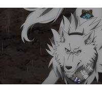 We Fought a Fire Dragon