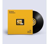 We Had No Model [VINYL]