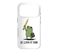 We Learn At Dawn Funny Frog Meme Teaching School Teacher Case for iPhone 17 Pro