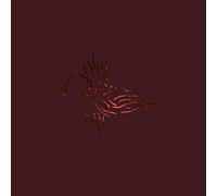 We Like We - Next to the Entire All [VINYL]