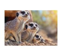 We love our community，Jigsaw Puzzles 1000 Pieces for Adults, Classic Puzzle Kids Puzzle Challenging And Difficult Puzzles for Adults And Teens（75x50cm）-AK27