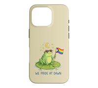 We Pride At Dawn LGBTQ Frog Moon Stars Cute Rainbow Case for iPhone 16 Pro