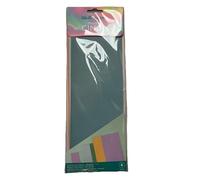 Rainbow Spines - 6 Pack by We R Makers