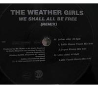 We shall all be free (Remix) [VINYL]
