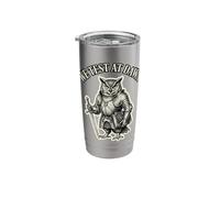 We Test At Dawn Funny Owl Knight QA Tester Exam Graphic Stainless Steel Insulated Tumbler