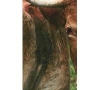 We Will Go Far / A Way To Leak Lick Leek