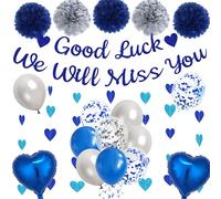 We Will Miss You Banner Decorations - Blue Silver Sorry Your Leaving Party Supplies Garland Good Luck Banners, Paper Pom Poms Balloons for Retirement Going Away Themed Party