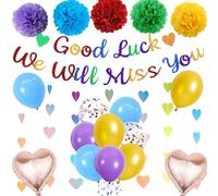 We Will Miss You Banner Decorations - Colorful Sorry Your Leaving Party Supplies Garland Good Luck Banners, Paper Pom Poms Balloons for Retirement Going Away Themed Party