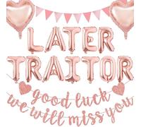 We Will Miss You Banner, Rose Gold Retirement Party Decorations, Leaving Party Decorations with Letter Heart Foil Balloons Pennants for Women Farewell Retirement Graduation Partys
