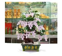 Wealth Luck Office Decor,Feng Shui Fortune Statue,Crystal Gem Tree Natural Jade Potted Grape Vine Jade Money Tree Home Decoration Feng Shui Handicraft Gifts Good Fortune and Prosperity(Color : C) (Co