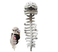 Wearable Dinosaur Skeleton Spinosaurus Plush Dino Outfit, 3D Dinosaur Skeleton Capes Plush Skulls Fun Cosplay Props Costume (Gray,80cm/31.50in)