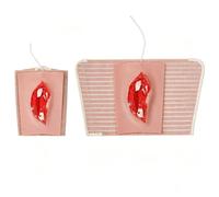 Wearable Fracture Training Model Silicone for Medical Class Master Bandaging-Grade V fracture
