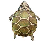 Wearable Turtle Shell Pillow Funny Turtle Shell Costume Giant Turtle Plush Toy, Creative Gift for Adults Kids (Green, 40 Inch)