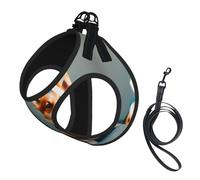 Wearing Clothes Cute Corgi Dogs Print Small Dog Harness with Leash Set, No Escape Easy Walk Puppy Harnesses for Training Walking