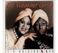 Weather Girls - It'S Raining Men(14titres)