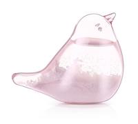 Weather Predicting Storm Glass,Bird Shape Storm Glass Weather Forecast Bottle Weather Station,Weather Stations for Home Office Accessories Valentine's Day Gift for Men-Pink